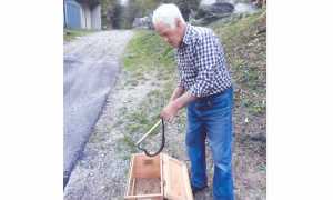 vipera walser Diovuole Proletti