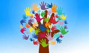 volunteers 2729695 640