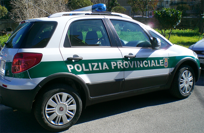 Auto svizzera si scontra con un cervo. Animale morto, auto danneggiata. Illesi i passeggeri