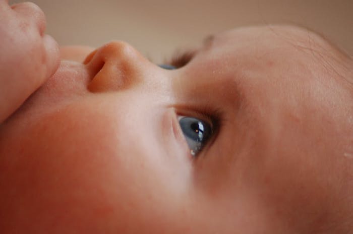 Domodossola: giornata di "nido aperto" all'Aquilone dedicata a mamme e papà 
