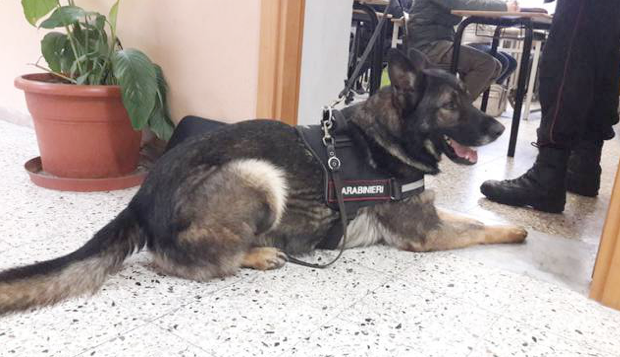 Schermata 2019 12 11 alle 09.14.48