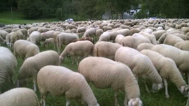 WP 20180929 18 59 17