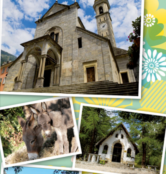 Schermata 2019 06 18 alle 15.07.50