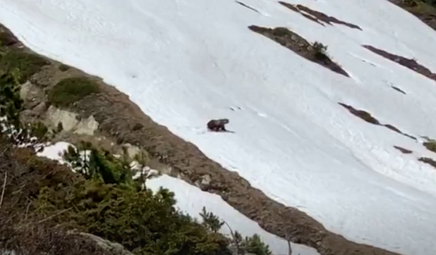 Schermata 2019 06 28 alle 11.39.33