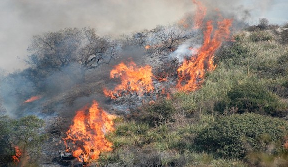Schermata 2019 05 15 alle 19.32.52