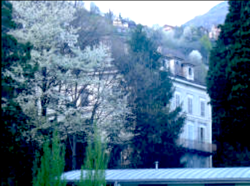 Schermata 2019 10 17 alle 11.33.36