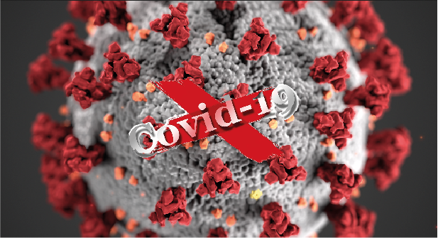 covid 19 vero virus