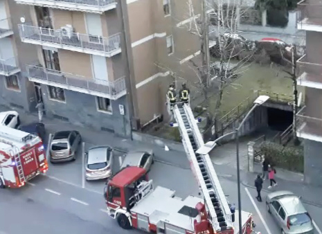 vigili fuoco gatto scale