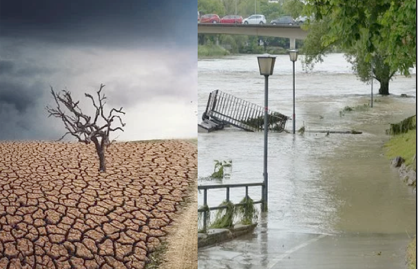 Schermata 2020 02 25 alle 11.10.39