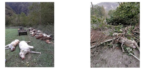 Schermata 2020 10 07 alle 18.31.36