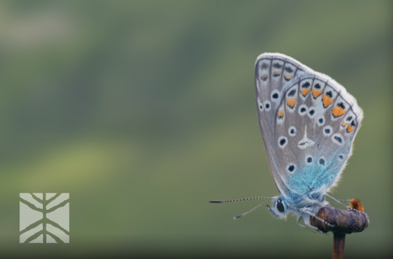 Schermata 2021 08 07 alle 09.35.15