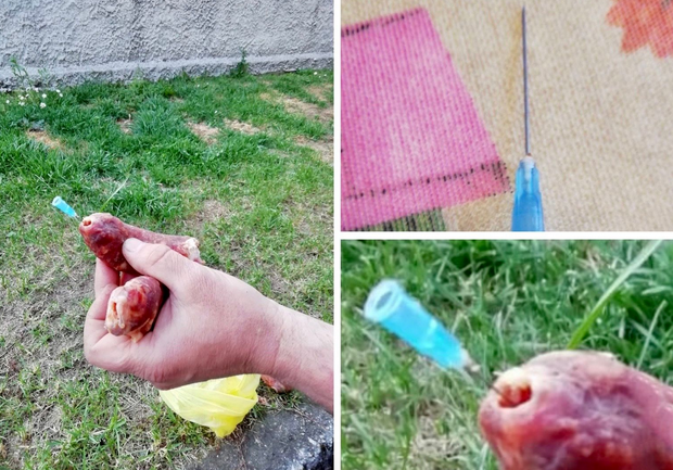 Schermata 2021 03 30 alle 10.06.19