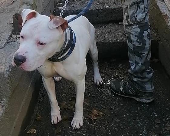 255069619 10224999070791452 1696988187436997081 n