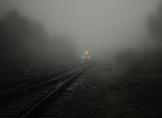 fog g7d8522029 640