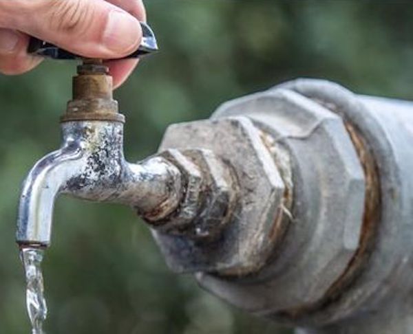 293809706 5564985926879891 4017037191024607748 n