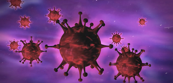 Schermata 2023 02 11 alle 08.43.02