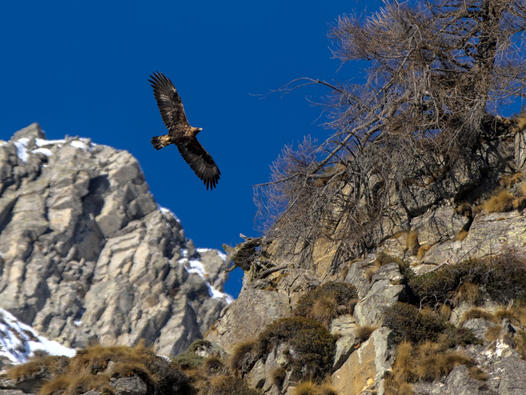 387246440 23861733360990224 6896074758387122909 n