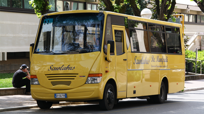 scuolabus albero seduto images articles vco ossola 2020 settembre thumb medium650 0