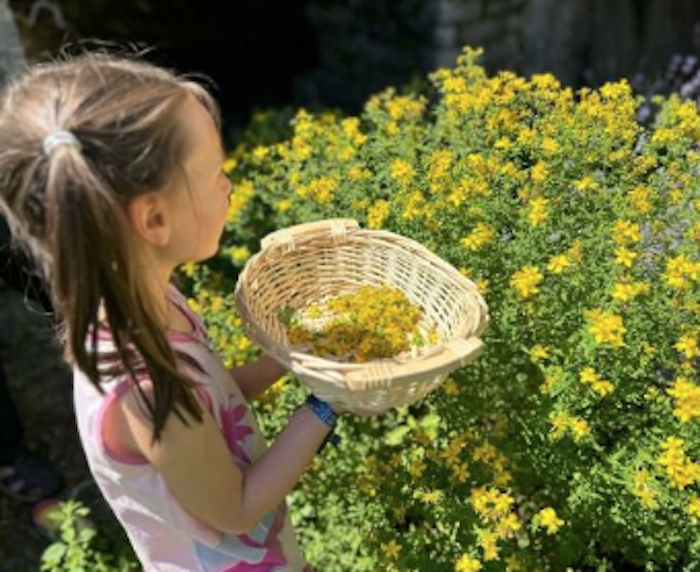 Verampio: la festa delle erbe 