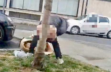 WhatsApp Image 2024 02 26 at 15.24.17