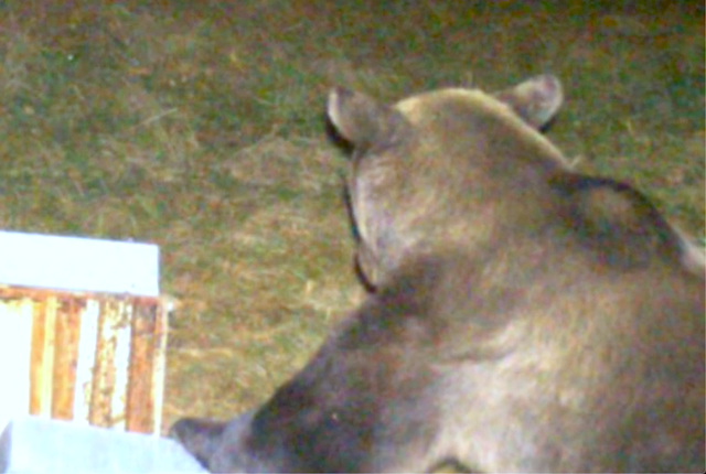 Schermata 2024 11 02 alle 08.40.22