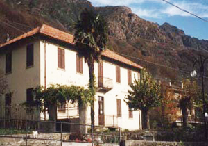 colloro premosello exasilo