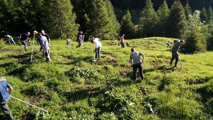 Avviati i miglioramenti ambientali nel Comprensorio Alpino Vco2