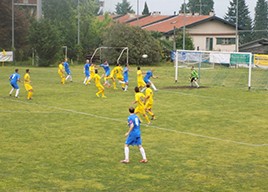 corta piedimulera stresa azione