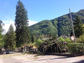 corto santa maria maggiore taglio alberi