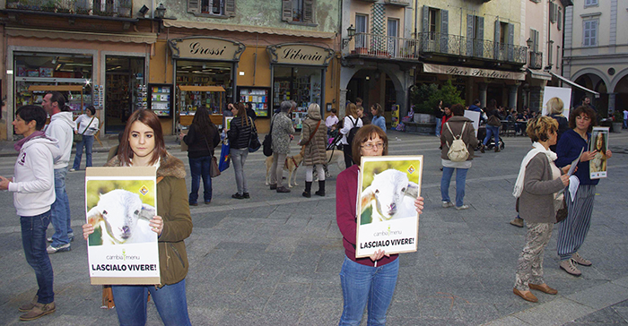 flash mob capretti