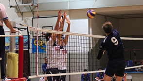 bistrot 2mila8 volley