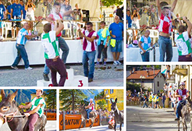 b palio asini premosello 16