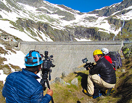 b cingino stambecchi giapponesi