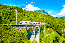 b bls treno official