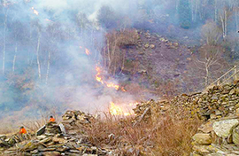 b incendio bosco parco volontari aib
