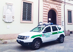 corta polizia municipale sede auto