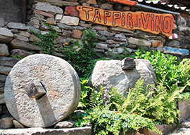 b tappia di vino