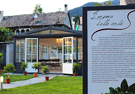 b vigezzo profumo colonia