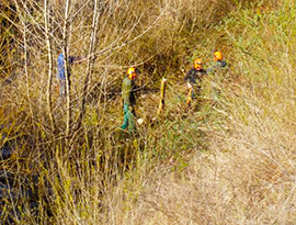 b Taglio piante Ovesca villa 2016