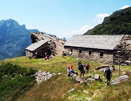 b campi parco grande straolgio