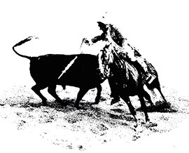 b invito mostra ottoperdieci