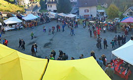 b mele miele 16 piazza