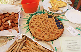 b piatti torte biscotti canapa