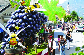 b sfilata carro uva masera