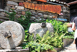 b tappia di vino