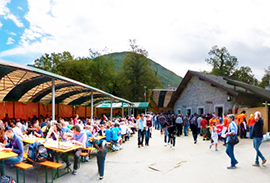 b trontano funghi capannoni