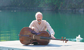 b violoncello Palmeri ruminelli