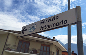 servizio veterinario