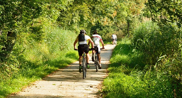 ciclisti salita bosco