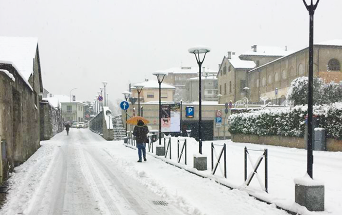 Falciola risponde in consiglio sul piano neve: "500 euro di penale per ogni via non agibile". Video